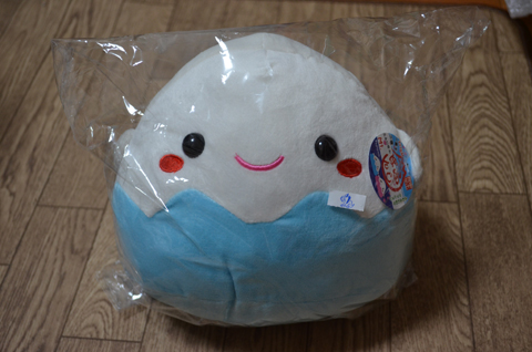 yamaSS_fuji_029.jpg