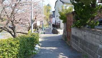 sakabuta04.jpg