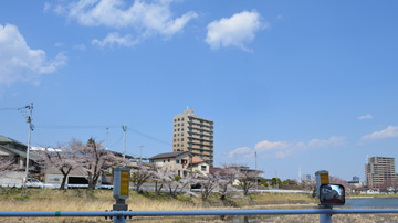 sakabuta06.jpg