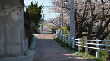 sakabuta08.jpg