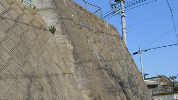 tsugakuro03.jpg